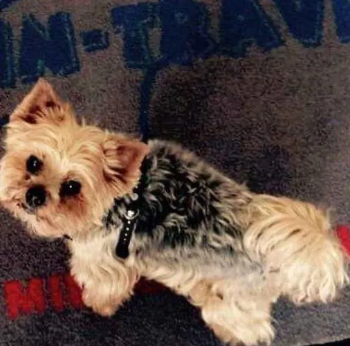 Daire Wolin-travel Centrum